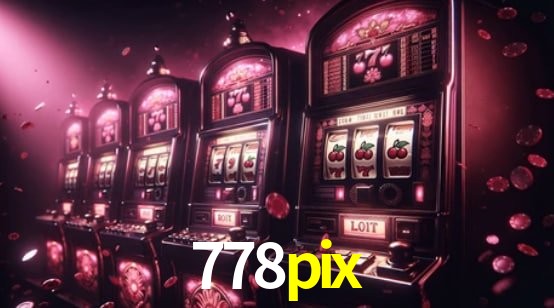 Interface Premium 778pix